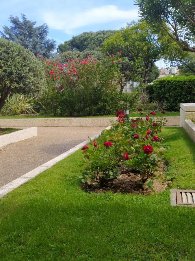 Eden Golfe Plages A Pieds Parking Prive Vallauris Exterior photo